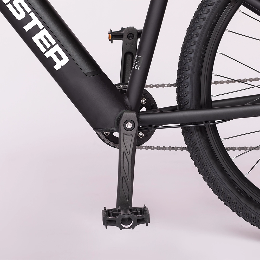 Monster mtb online